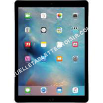 tablette APPLE Pro 2.9'' 28Go 4G  Gris sidéral