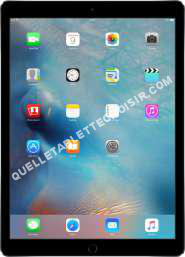 tablette APPLE Apple671470iPad Pro  WiFi  256 Go  Space Gray
