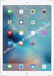 tablette APPLE Tablette   Pro 12,9 Cell 256Go Gold Tablette  Pro 12,9 Cell 256Go Gold