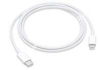 mobile APPLE Câble iPhone  Câble USBC vers Lightning   Blanc